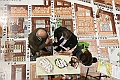 Festival del Giornalismo Alimentare 2019_202